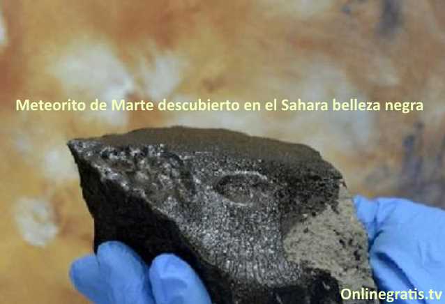 Meteorito descubierto