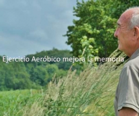 Ejercicio-Aerobico-mejora-memoria.jpg