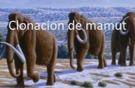 Clonacion-de-mamut.jpg