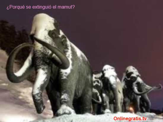 extincion mamut causas