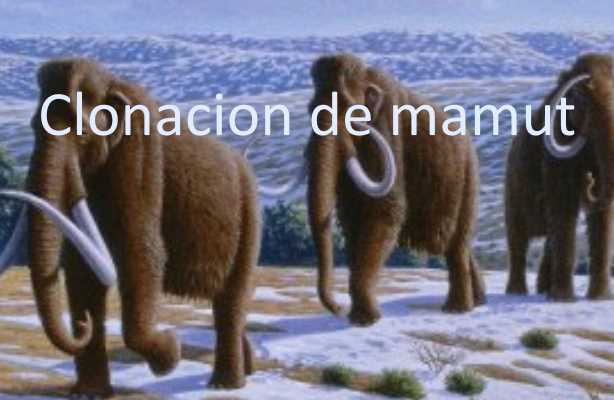 Clonacion de mamut paleontologia