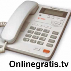 numero-de-telefono.jpg