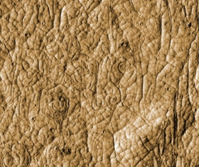 lava-marte-2012.jpg