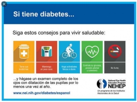 Ratones-con-diabetes-curados-con-Celulas-Madre.jpg