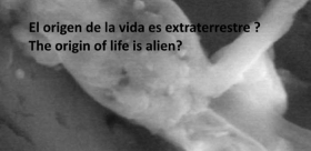 vida-es-extraterrestre.jpg