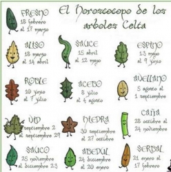 horoscopo-celta-arbol.jpg