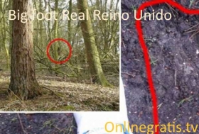 Big-foot-Real-Reino-Unido.jpg