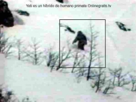yeti-foto-real.jpg