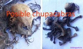 Chupacabra-2015.jpg