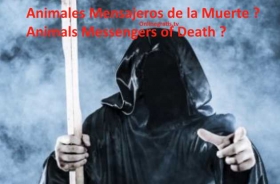 Animals-Messengers-of-Death.jpg