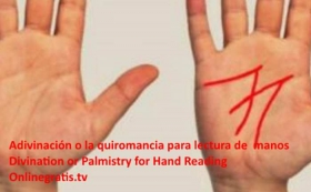 lineas-en-palmas-de-las-manos.jpg