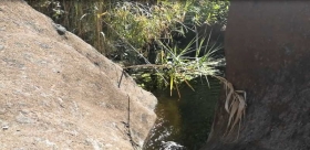 Sonido-de-un-rio-en-el-bosque-sin-musica.jpg