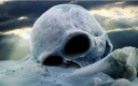 principal-causa-probable-del-fin-de-la-humanidad.jpg