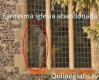 ghost-real.jpg