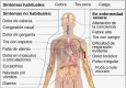 Vacuna-de-Coronavirus-virologos-en-diferentes-paises.jpg