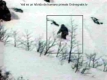 yeti-foto-real.jpg