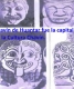 Leyenda-medusa-Peru.jpg