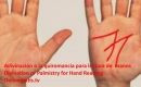 lineas-en-palmas-de-las-manos.jpg
