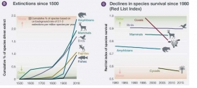 Sexta-extincion-en-masa-de-plantas-y-animales-2.jpg