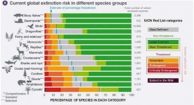 Sexta-extincion-en-masa-de-plantas-y-animales.jpg