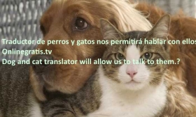 Traductor-de-perros-y-gatos.jpg