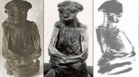 La-Misteriosa-criatura-humanoide-de-San-Pedro.jpg
