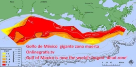 Golfo-de-Mexico-zona-muerta.jpg