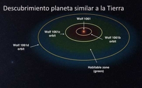Wolf1061.jpg