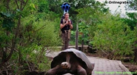 google-street-view-trekker-galapagos.jpg