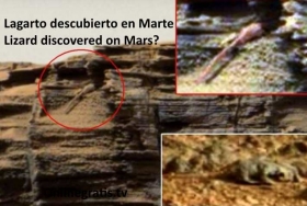 lagarto-marte.jpg