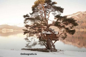 Casa-del-arbol-Loch-Goyle-Escocia.jpg