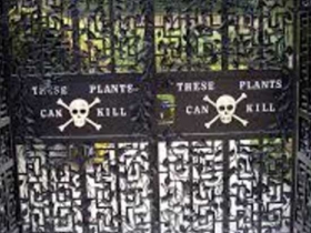 Poison-Garden-Alnwick.jpg