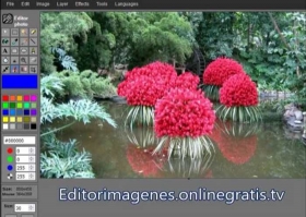 editor-fotos.jpg