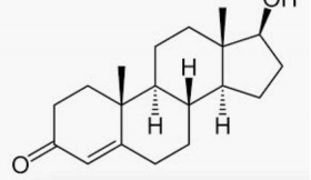 Formas-naturales-de-aumentar-los-niveles-de-testosterona.jpg