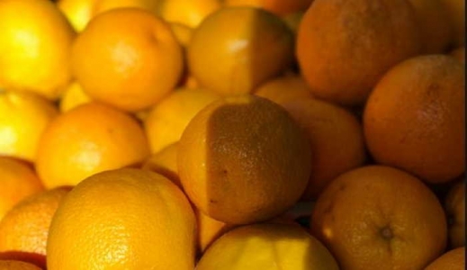 Fruta-De-Sol-las-naranja.jpg