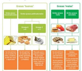 grasas-malas-y-buenas.jpg