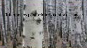 Triterpenos-pentaciclicos-contra-el-cancer.jpg