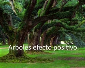 Arboles-efecto-positivo.jpg