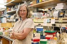 Elizabeth-Blackburn-detener-el-envejecimiento.jpg