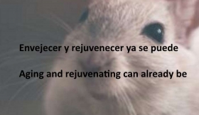 Envejecer-y-rejuvenecer-ya-se-puede.jpg