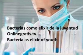 elixir-de-la-juventud.jpg