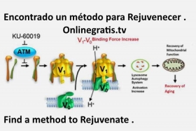 metodo-para-Rejuvenecer.jpg