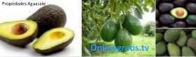 aguacate.jpg