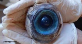 Ojo-gigante.jpg