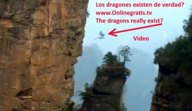 dragones-existen-de-verdad.jpg