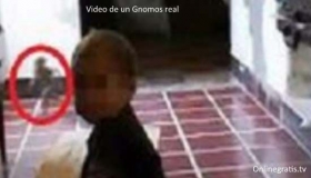 Gnomos-real.jpg