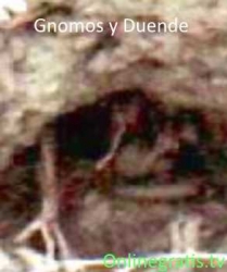 gnomoyduendes.jpg