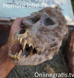 hombre-lobo.jpg